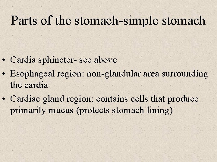 Parts of the stomach-simple stomach • Cardia sphincter- see above • Esophageal region: non-glandular