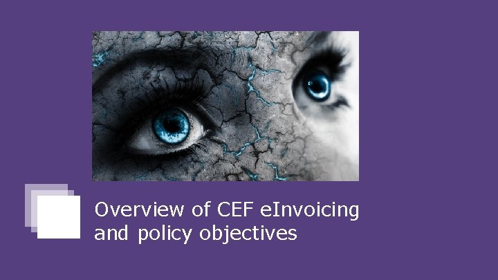 Y Overview of CEF e. Invoicing and policy objectives 