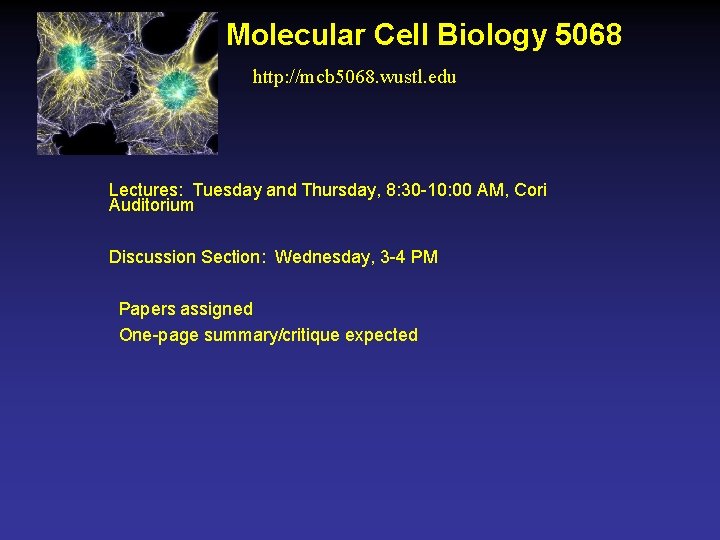 Molecular Cell Biology 5068 http: //mcb 5068. wustl. edu Lectures: Tuesday and Thursday, 8: