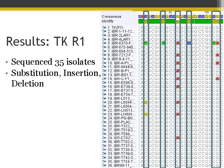 Results: TK R 1 • Sequenced 35 isolates • Substitution, Insertion, Deletion 