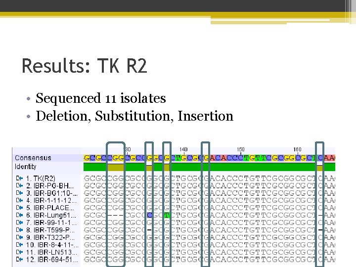 Results: TK R 2 • Sequenced 11 isolates • Deletion, Substitution, Insertion 