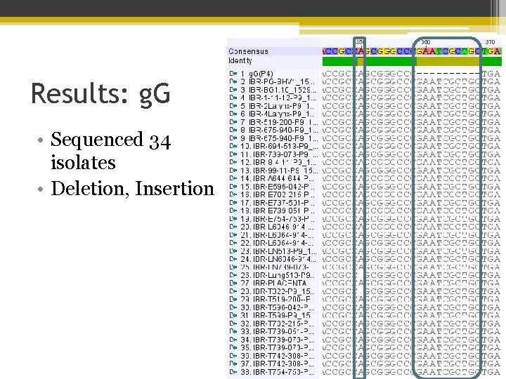 Results: g. G • Sequenced 34 isolates • Deletion, Insertion 