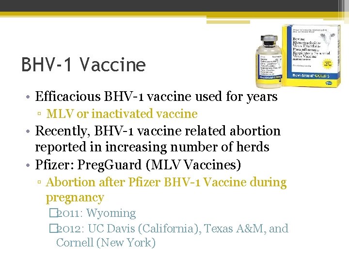 BHV-1 Vaccine • Efficacious BHV-1 vaccine used for years ▫ MLV or inactivated vaccine
