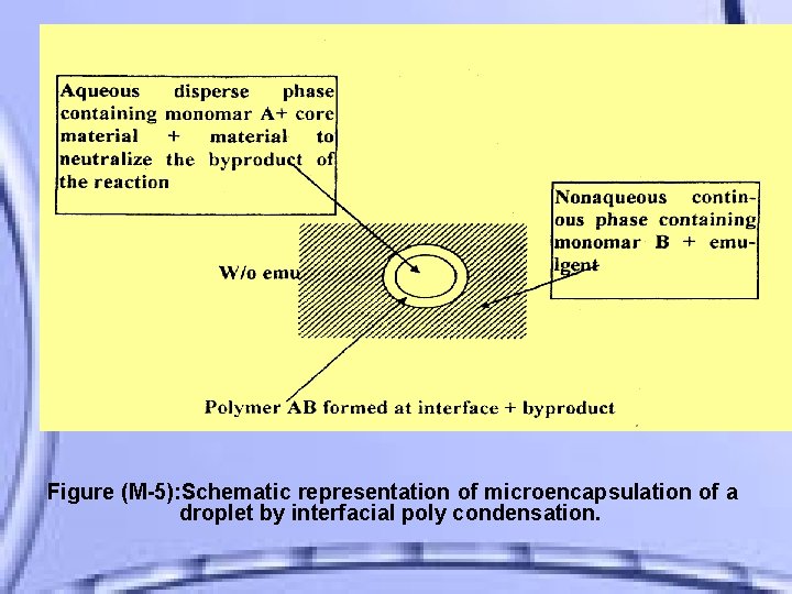 Figure (M-5): Schematic representation of microencapsulation of a droplet by interfacial poly condensation. 