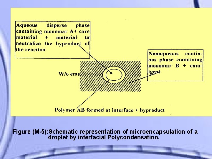 Figure (M-5): Schematic representation of microencapsulation of a droplet by interfacial Polycondensation. 