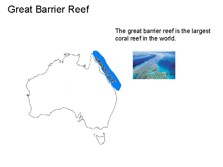 Great Barrier Reef The great barrier reef is the largest coral reef in the