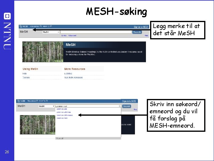 MESH-søking Legg merke til at det står Me. SH Skriv inn søkeord/ emneord og