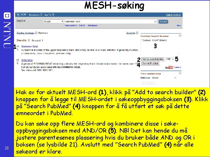 MESH-søking 3 1 2 4 5 Hak av for aktuelt MESH-ord (1), klikk på