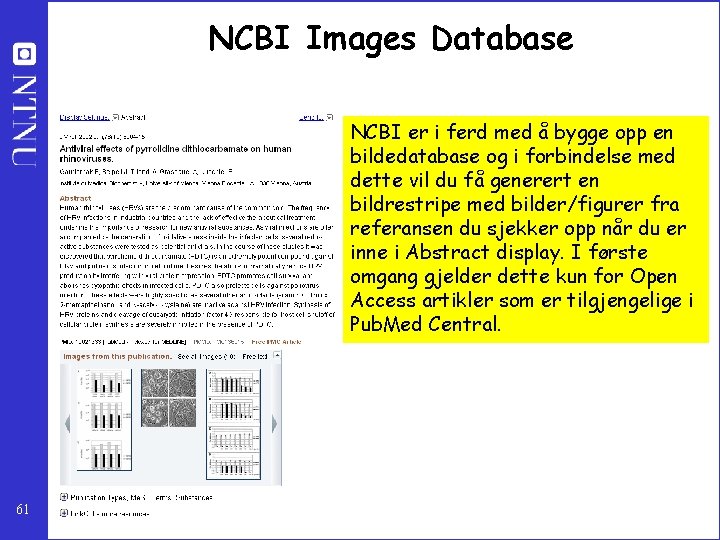 NCBI Images Database NCBI er i ferd med å bygge opp en bildedatabase og