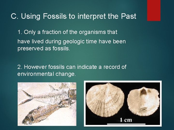 C. Using Fossils to interpret the Past 1. Only a fraction of the organisms