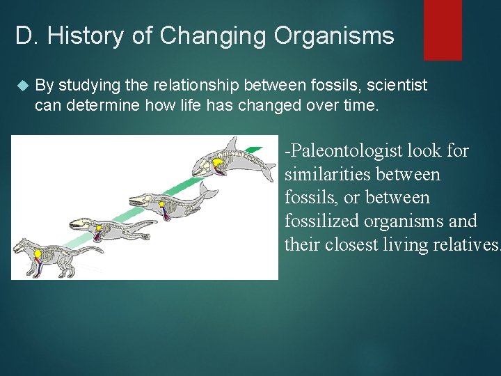 D. History of Changing Organisms By studying the relationship between fossils, scientist can determine