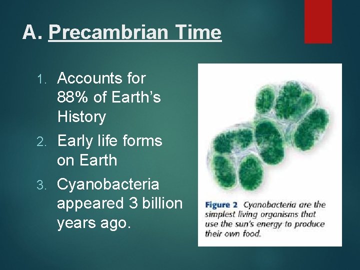 A. Precambrian Time 1. Accounts for 88% of Earth’s History 2. Early life forms