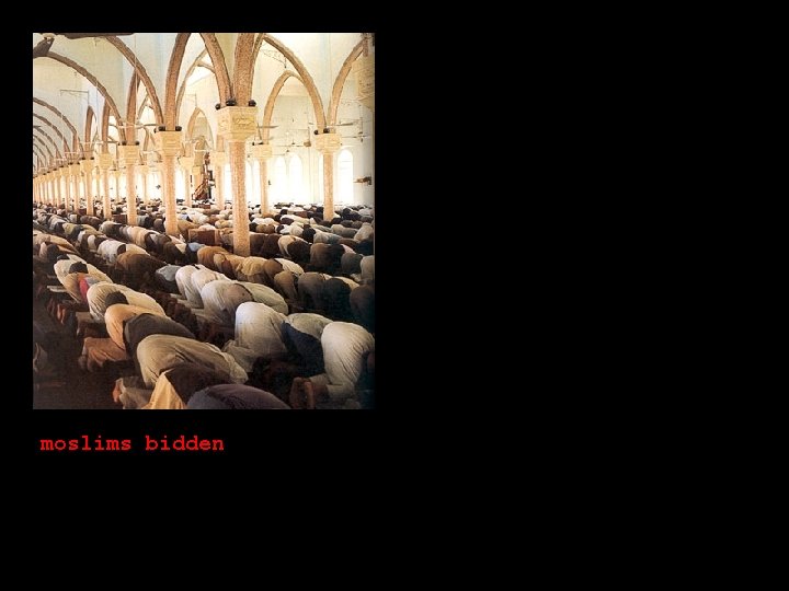 moslims bidden 