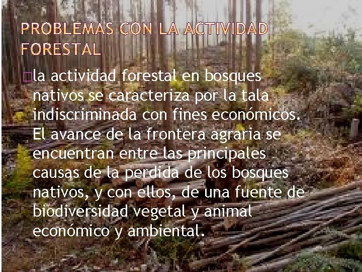 �la actividad forestal en bosques nativos se caracteriza por la tala indiscriminada con fines