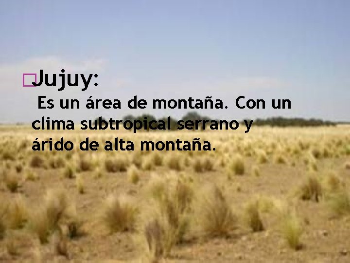 �Jujuy: Es un área de montaña. Con un clima subtropical serrano y árido de
