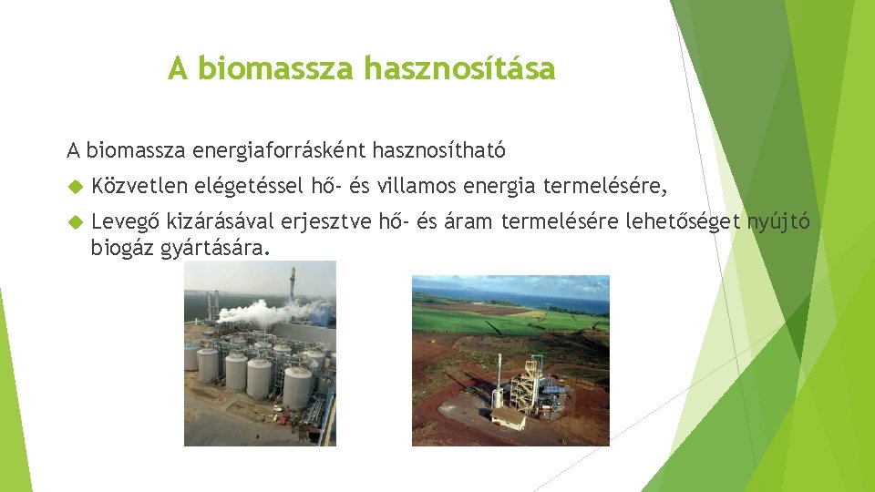 A biomassza hasznosítása A biomassza energiaforrásként hasznosítható Közvetlen elégetéssel hő- és villamos energia termelésére,