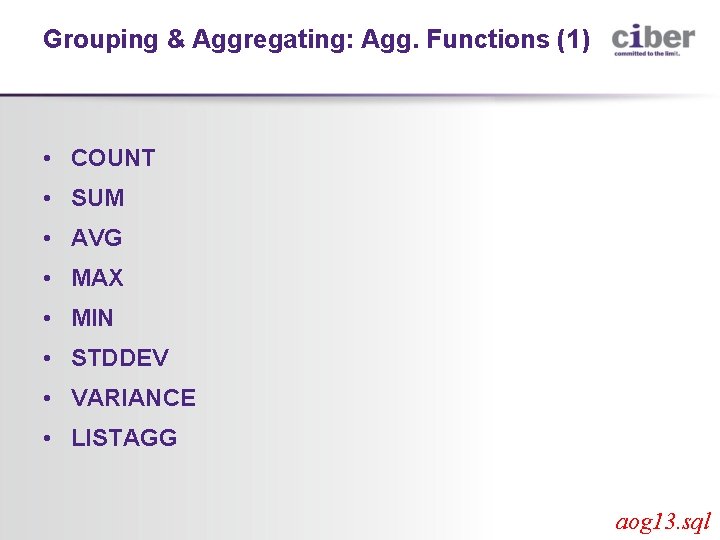 Grouping & Aggregating: Agg. Functions (1) • COUNT • SUM • AVG • MAX