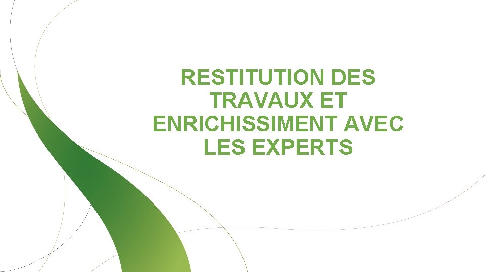 RESTITUTION DES TRAVAUX ET ENRICHISSIMENT AVEC LES EXPERTS 