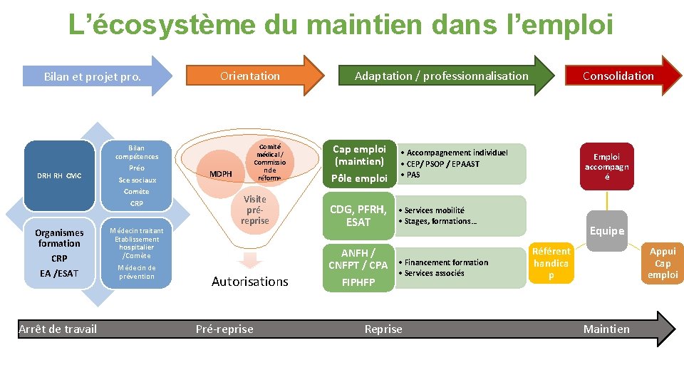 L’écosystème du maintien dans l’emploi Bilan et projet pro. DRH RH CMC Bilan compétences