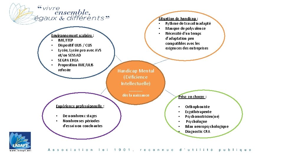 Environnement scolaire : • IME/ITEP • Dispositif ULIS / CLIS • Lycée, Lycée pro