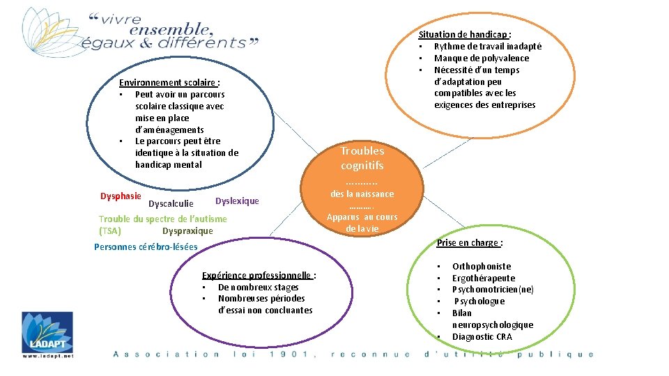 Environnement scolaire : • Peut avoir un parcours scolaire classique avec mise en place