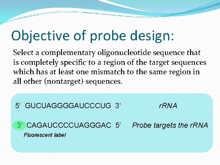 Objective of probe design: Select a complementary oligonucleotide sequence that is completely specific to