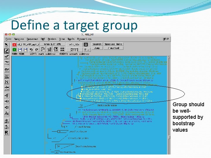 Define a target group Group should be wellsupported by bootstrap values 