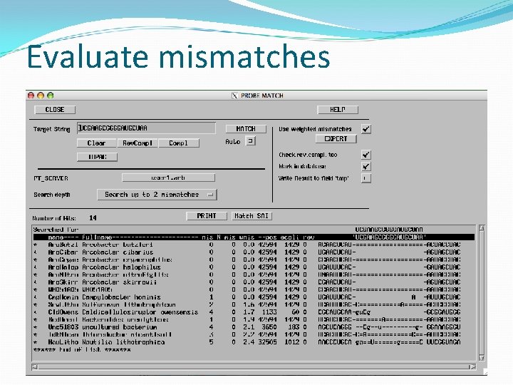 Evaluate mismatches 