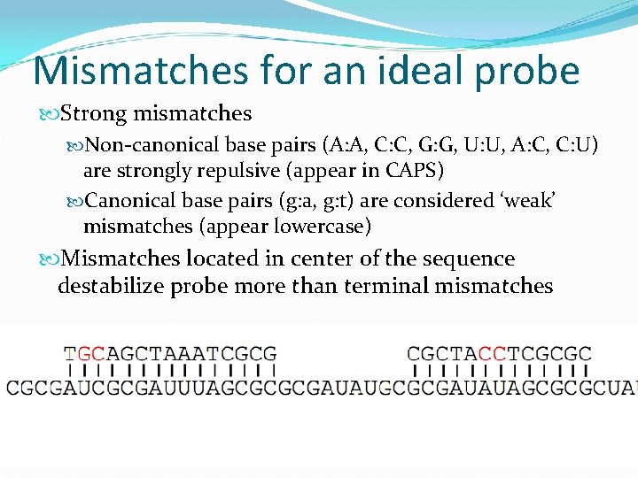 Mismatches for an ideal probe Strong mismatches Non-canonical base pairs (A: A, C: C,
