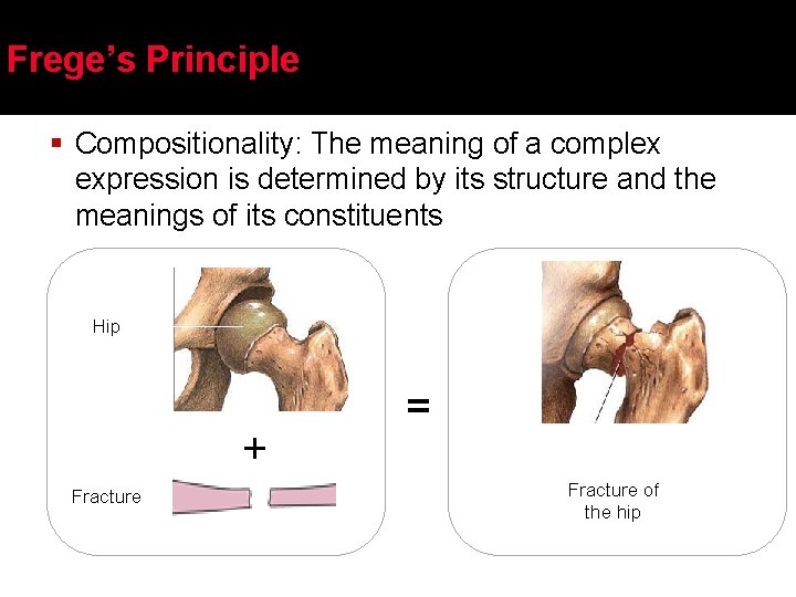 Frege’s Principle § Compositionality: The meaning of a complex expression is determined by its