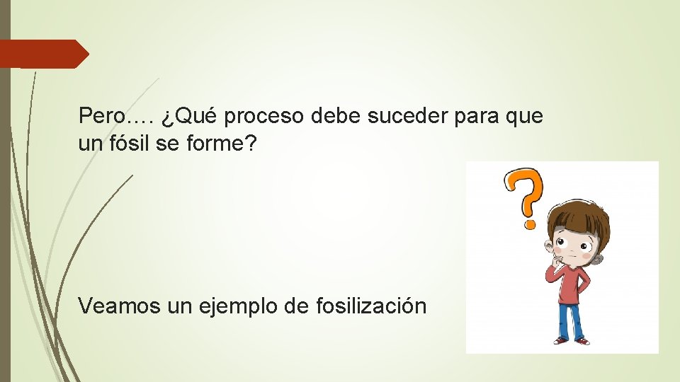 Pero…. ¿Qué proceso debe suceder para que un fósil se forme? Veamos un ejemplo