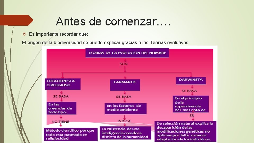 Antes de comenzar…. Es importante recordar que: El origen de la biodiversidad se puede