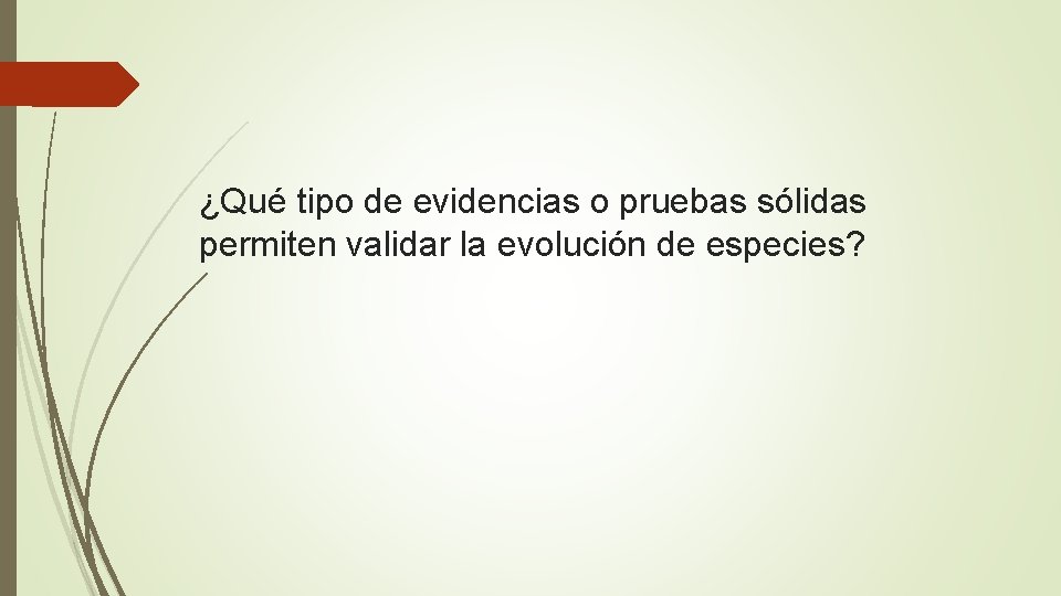 ¿Qué tipo de evidencias o pruebas sólidas permiten validar la evolución de especies? 