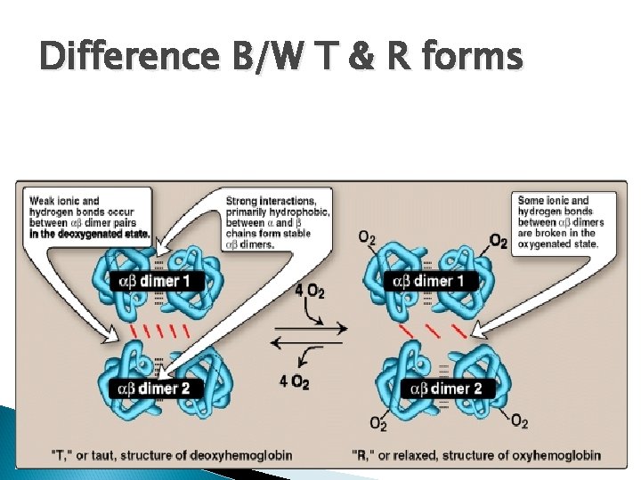 Difference B/W T & R forms 