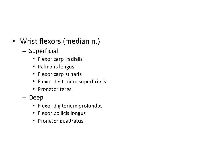 • Wrist flexors (median n. ) – Superficial • • • Flexor carpi