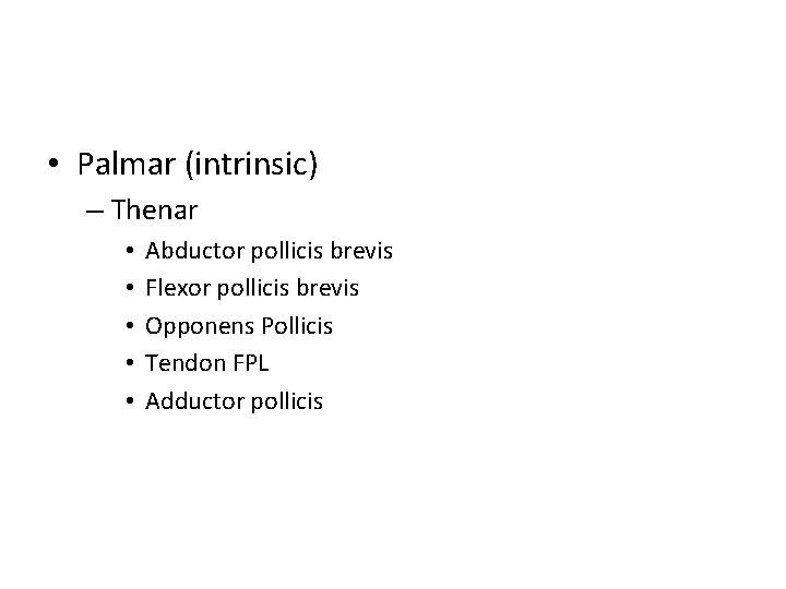  • Palmar (intrinsic) – Thenar • • • Abductor pollicis brevis Flexor pollicis