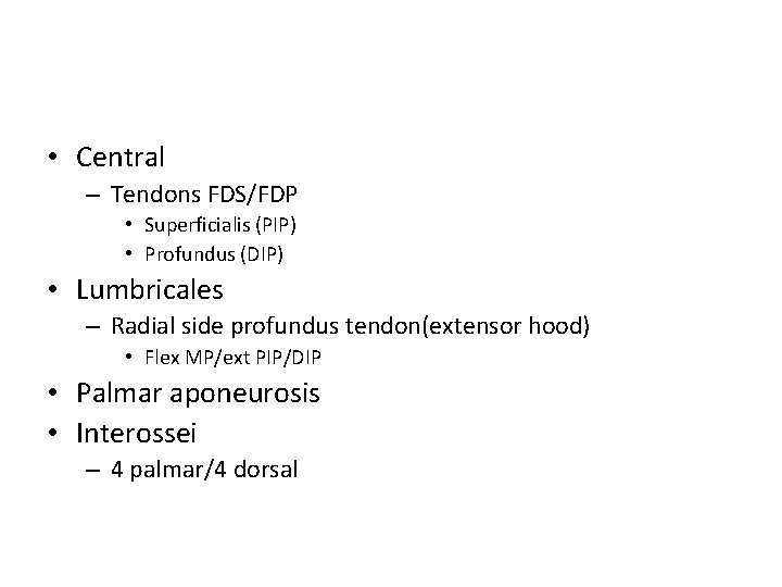  • Central – Tendons FDS/FDP • Superficialis (PIP) • Profundus (DIP) • Lumbricales