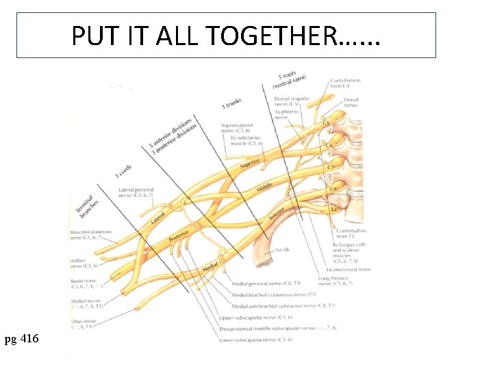 PUT IT ALL TOGETHER…. . . pg 416 
