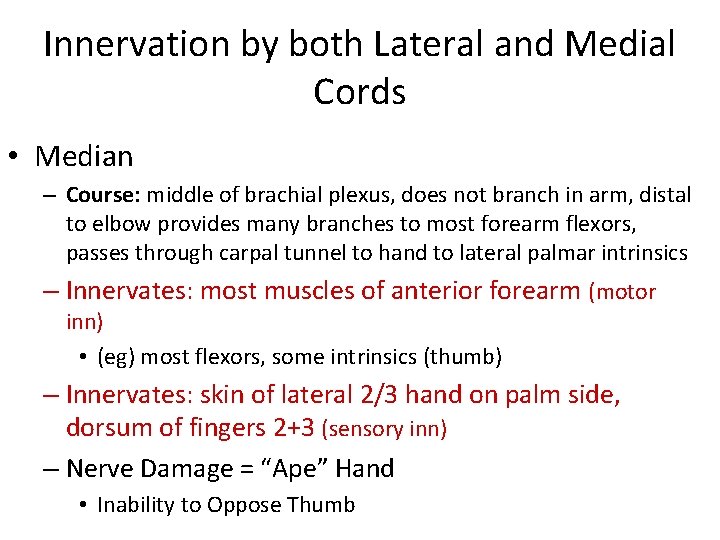 Innervation by both Lateral and Medial Cords • Median – Course: middle of brachial