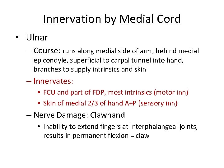Innervation by Medial Cord • Ulnar – Course: runs along medial side of arm,