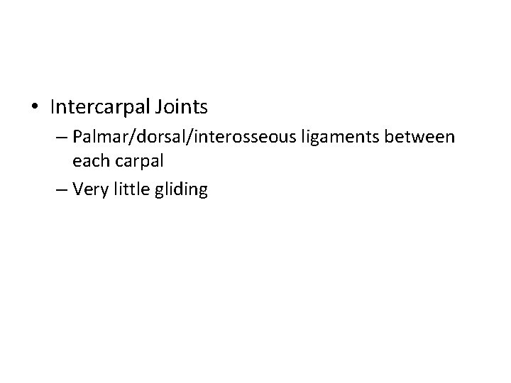  • Intercarpal Joints – Palmar/dorsal/interosseous ligaments between each carpal – Very little gliding