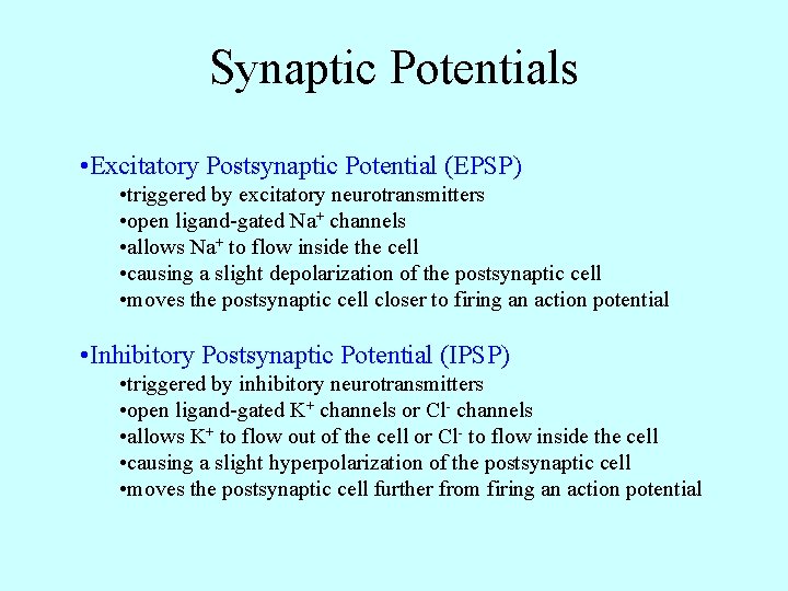 Synaptic Potentials • Excitatory Postsynaptic Potential (EPSP) • triggered by excitatory neurotransmitters • open