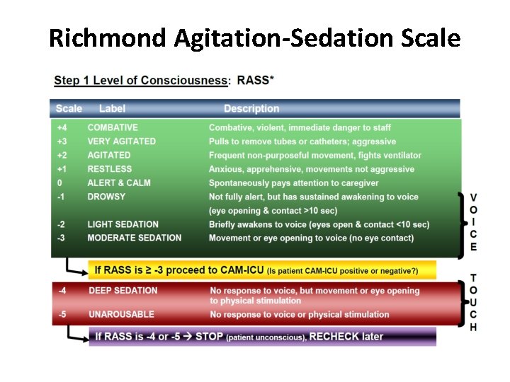 Richmond Agitation-Sedation Scale 