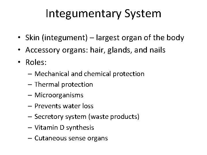 Integumentary System • Skin (integument) – largest organ of the body • Accessory organs: