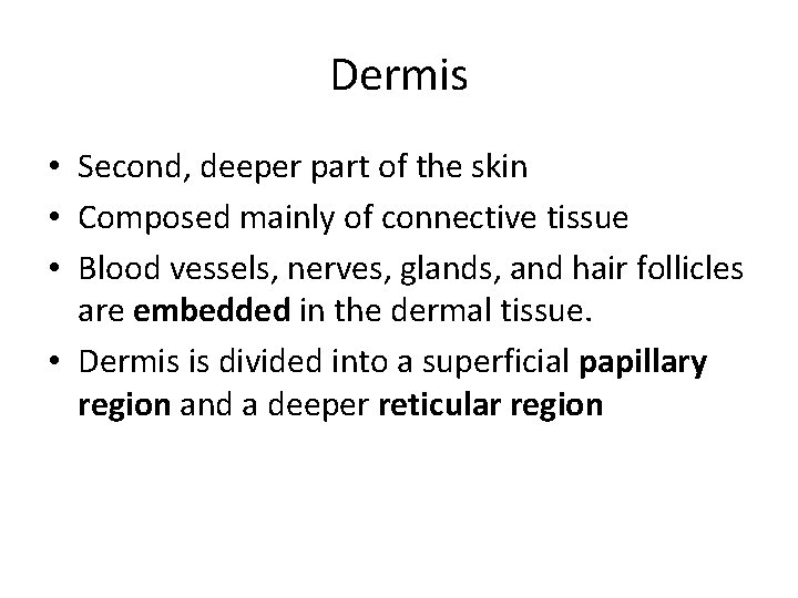Dermis • Second, deeper part of the skin • Composed mainly of connective tissue