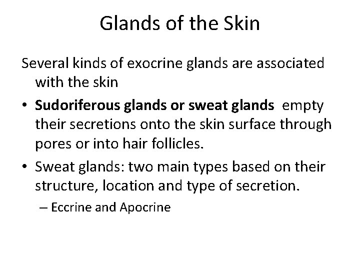 Glands of the Skin Several kinds of exocrine glands are associated with the skin