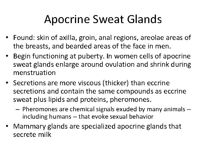 Apocrine Sweat Glands • Found: skin of axilla, groin, anal regions, areolae areas of