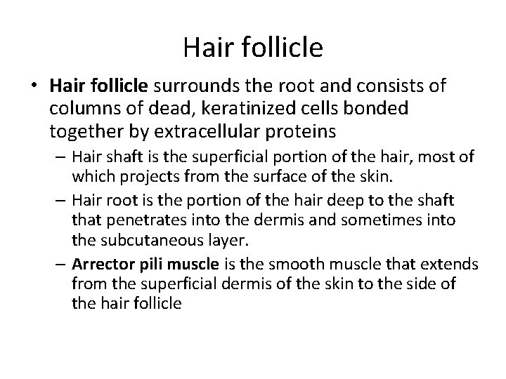 Hair follicle • Hair follicle surrounds the root and consists of columns of dead,