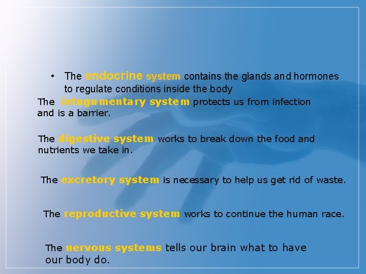  • The endocrine system contains the glands and hormones to regulate conditions inside