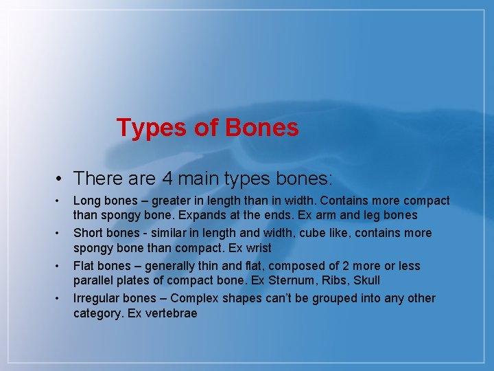 Types of Bones • There are 4 main types bones: • • Long bones